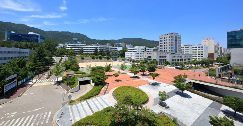 실내환경디자인학과